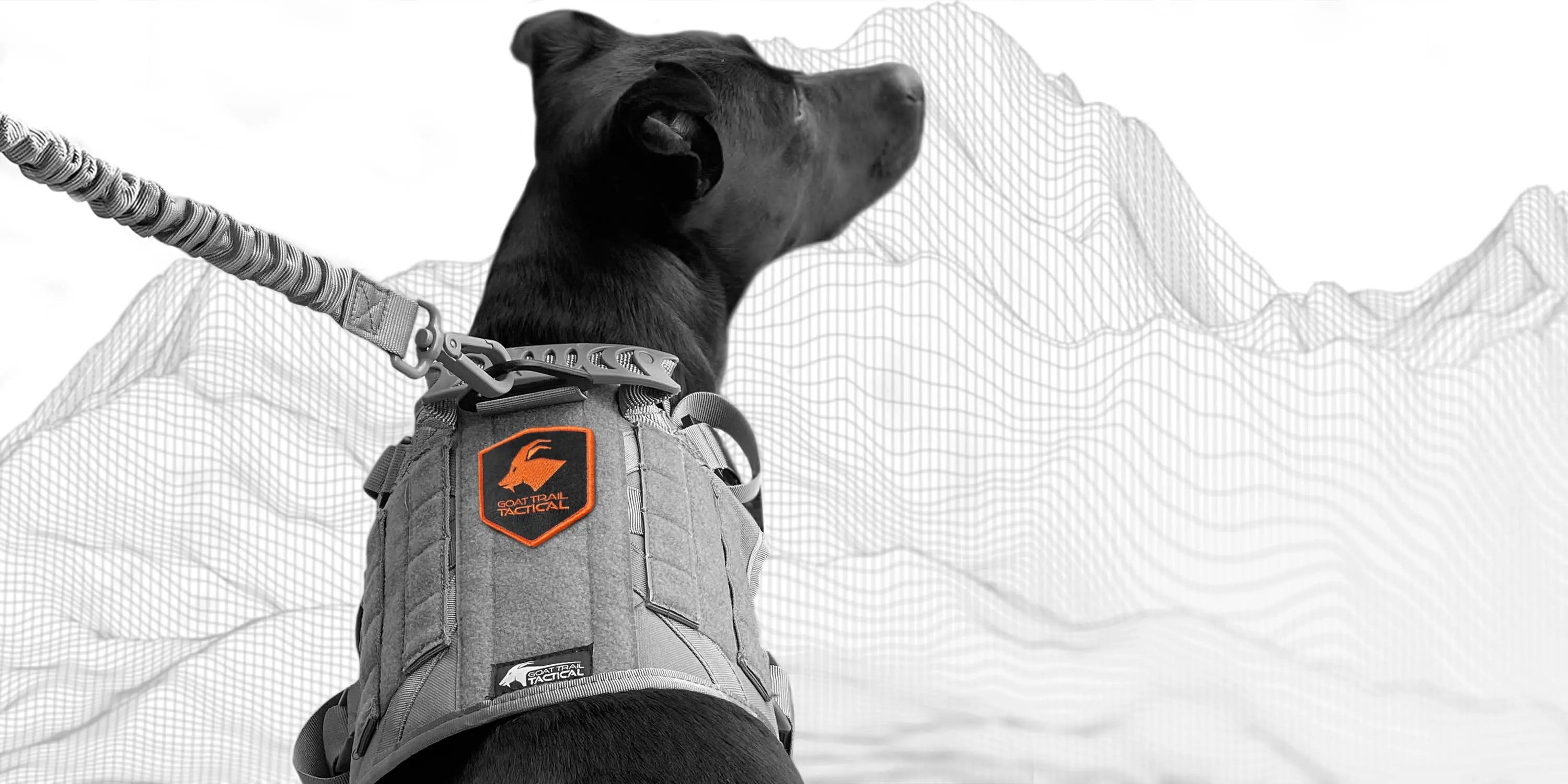 K9 Tactical Gear Tactical Dog Gear Goat Trail Tactical Page 4