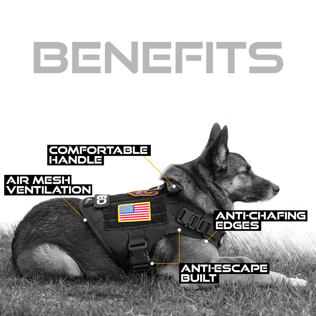 SSGLex™ Harness | Tactical Dog Harness