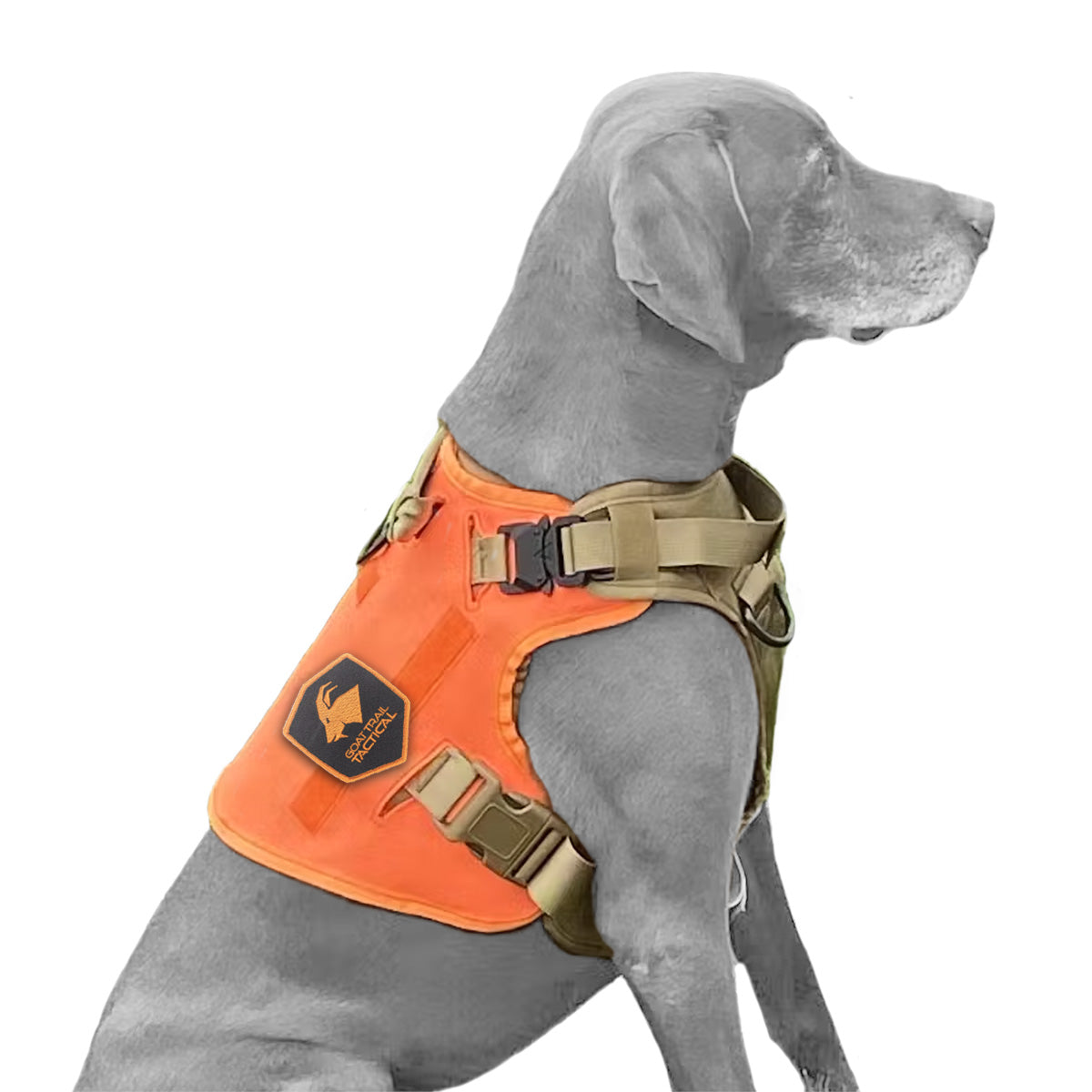 SSGLex™ Harness | Orange Dog Harness | Harness + Detachable Hi-Visibility Cape