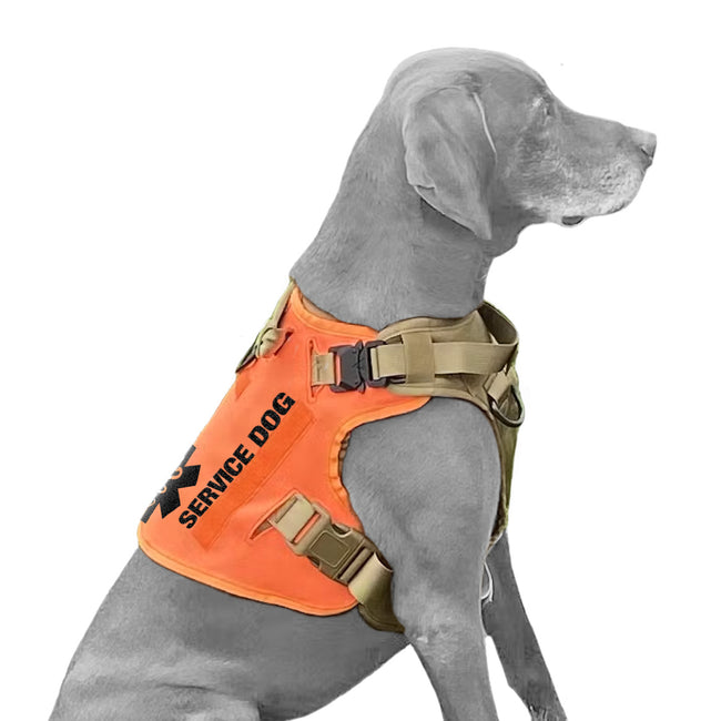 Esa dog hot sale gear