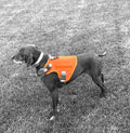 Goat-Trail-Tactical-Orange-hi-vis-cape-harness