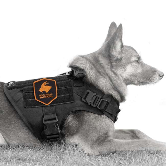 Tactical Dog Harness, no pull system, tactical & military style