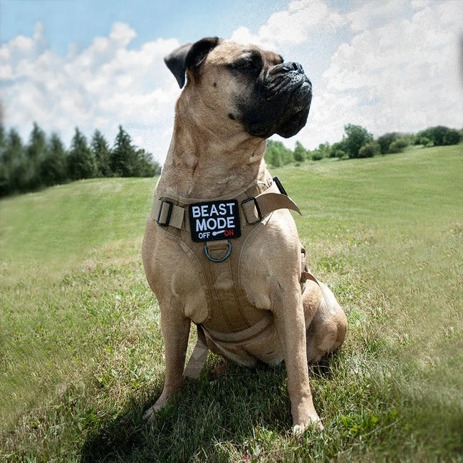 Tactical Dog Harness, tactical dog vest, military dog harness, k9 harness, Tactical  Harness for Dogs– Goat Trail Tactical