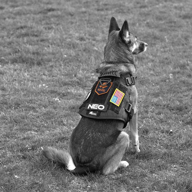 221B Tactical Artemis Dog Harness, Black / Medium